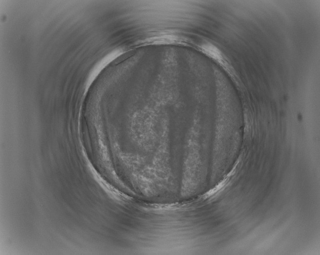 X0000067881426200605111813