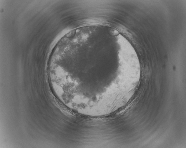 X0000067881427200605111813