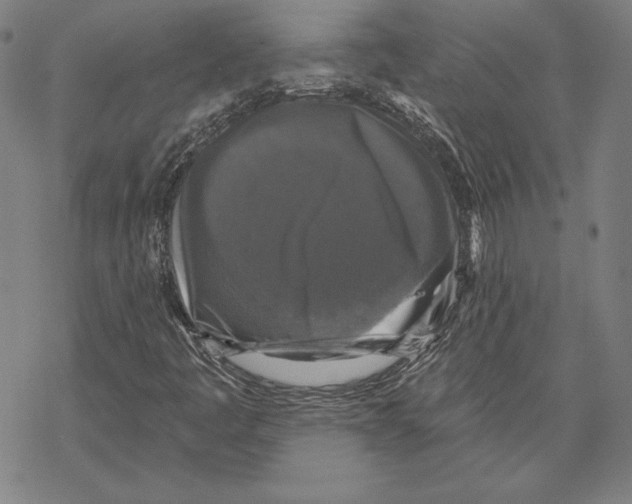 X0000067881445200605111813