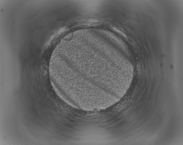 X0000067881447200605111813