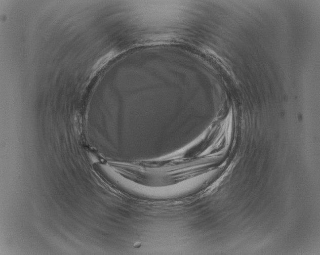 X0000067881449200605111813