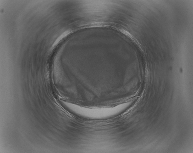 X0000067881450200605111813