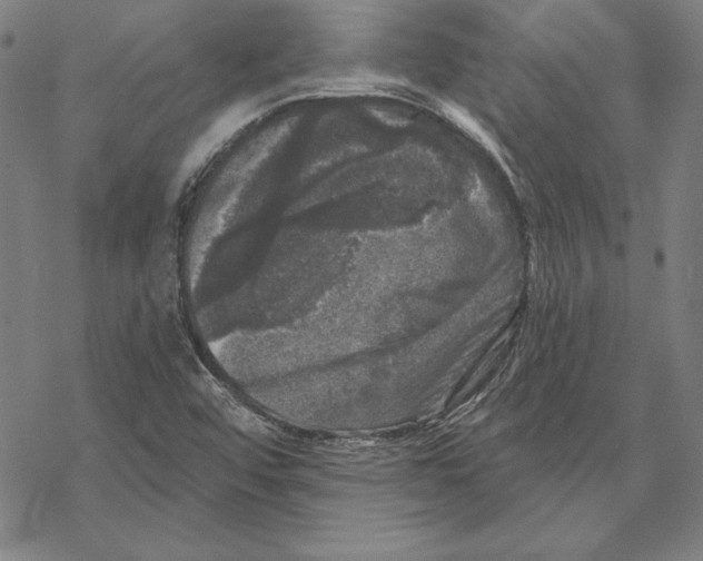 X0000067881456200605111813
