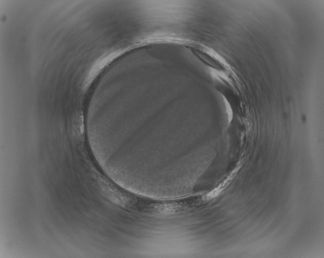 X0000067881461200605111813