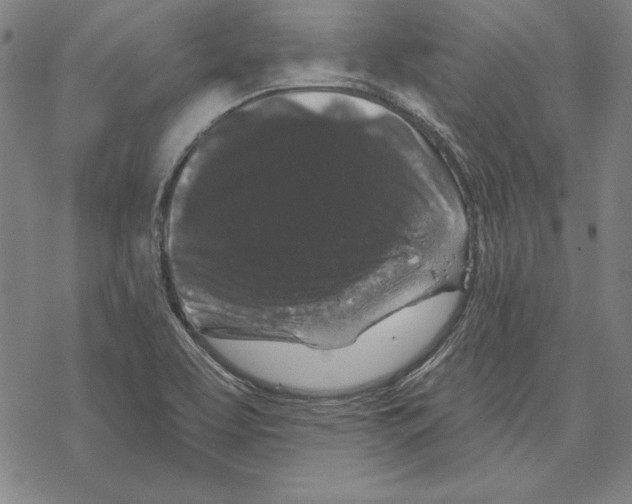 X0000067881463200605111813