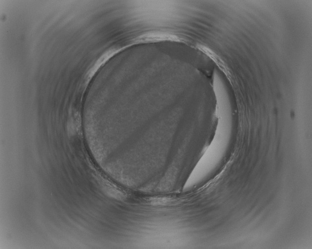 X0000067881465200605111812