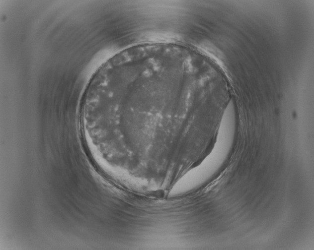 X0000067881471200605111812