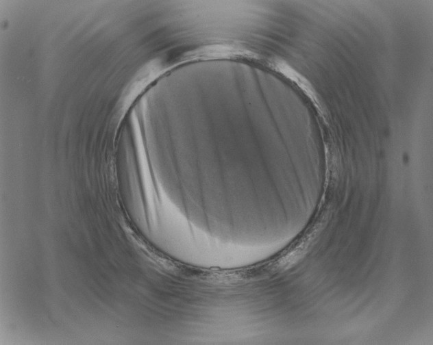 X0000067881473200605111812
