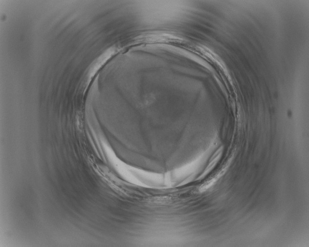 X0000067881481200605111812