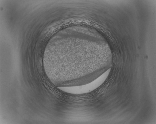 X0000067881489200605111811