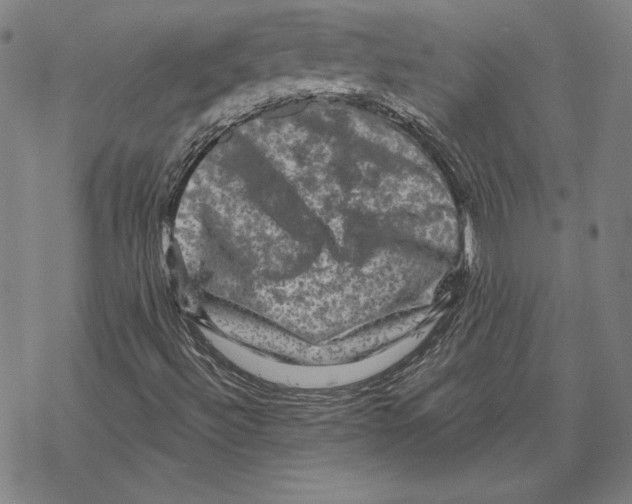 X0000067881492200605111811