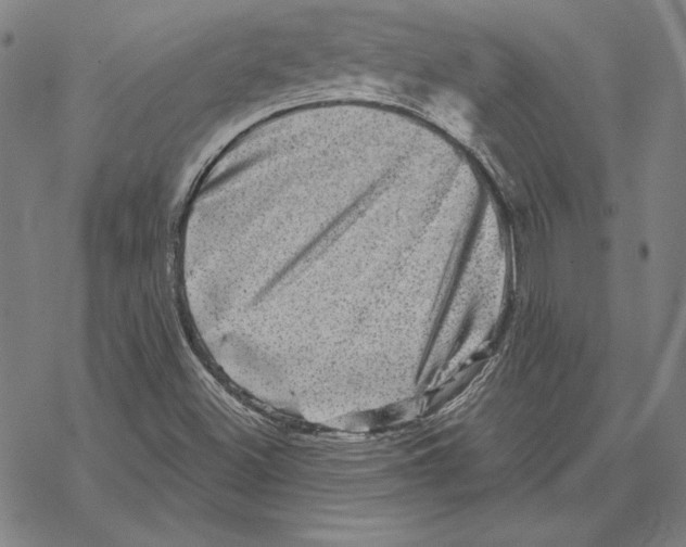X0000067881500200605111811