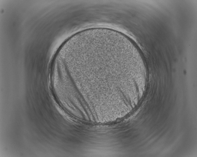 X0000067881511200605111812
