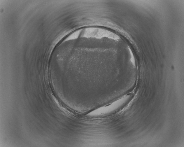 X0000067881513200605111812