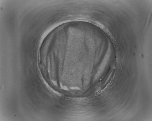 X0000067881520200605111812