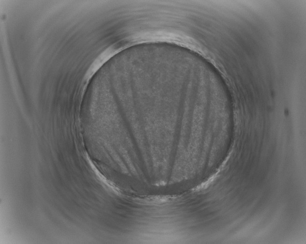 X0000067881521200605111812