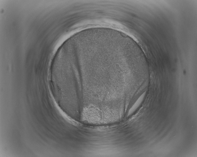 X0000067881523200605111812