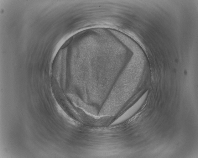 X0000067881532200605111812