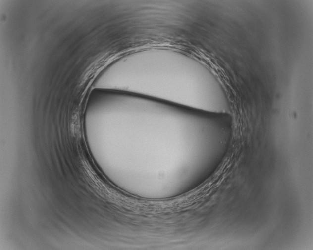 X0000067890002200604131025