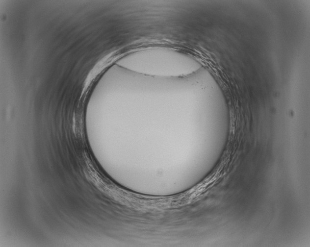 X0000067890004200604131025