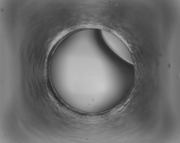 X0000067890008200604131025