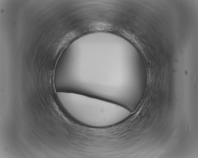X0000067890010200604131025
