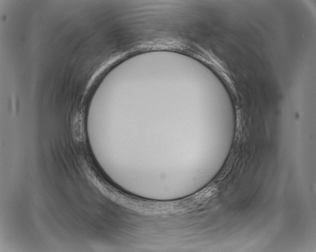 X0000067890012200604131025