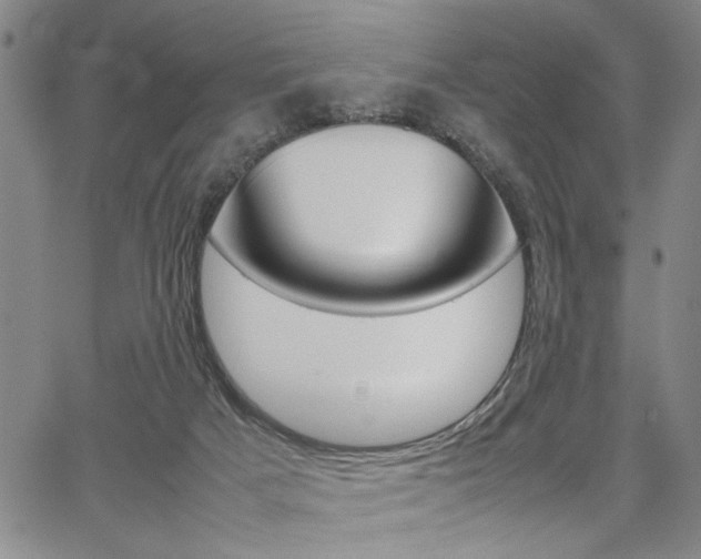 X0000067890025200604131025