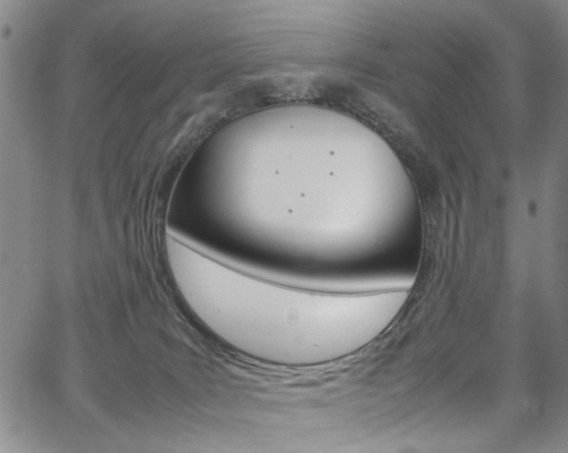 X0000067890035200604131024