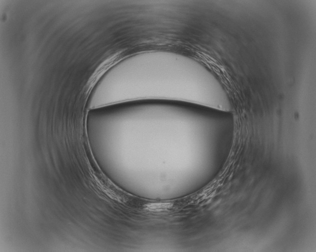X0000067890051200604131023