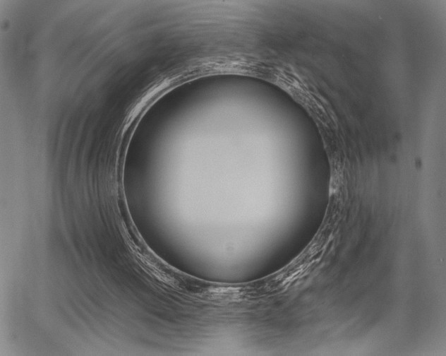 X0000067890052200604131023