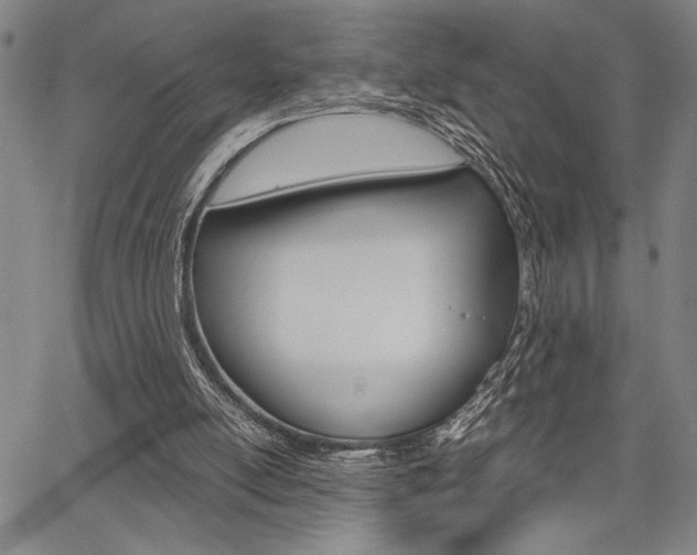 X0000067890054200604131023