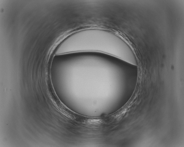 X0000067890055200604131023