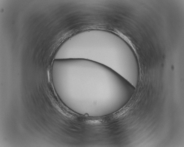 X0000067890061200604131024