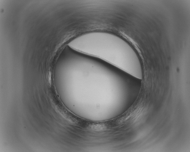 X0000067890067200604131024
