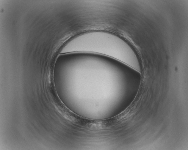 X0000067890068200604131024
