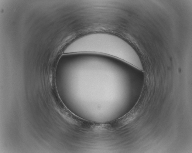 X0000067890072200604131024
