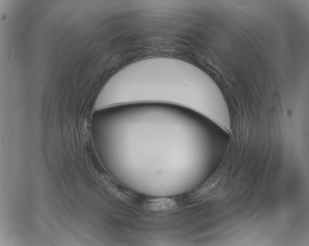 X0000067890087200604131024