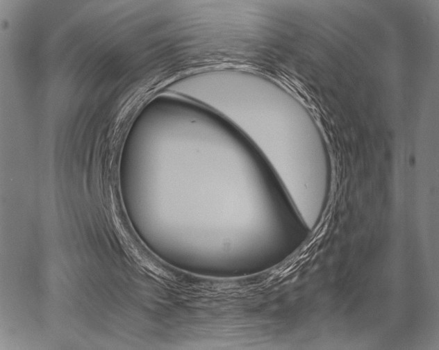 X0000067890097200604131023