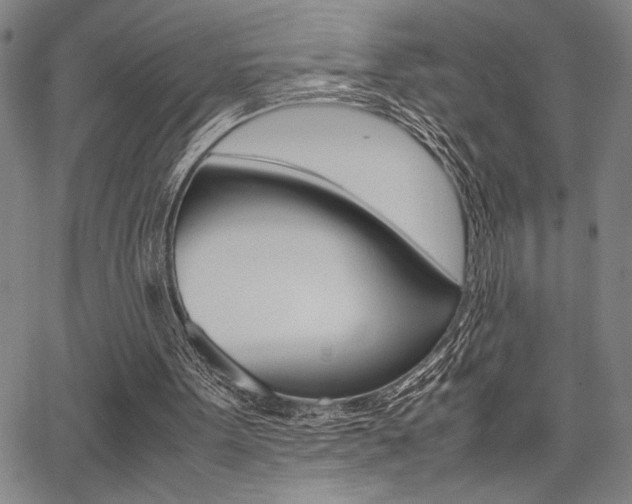 X0000067890099200604131023