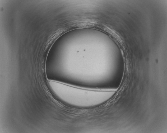 X0000067890105200604131023