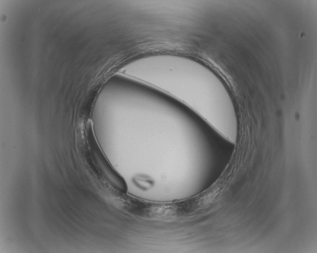 X0000067890117200604131023