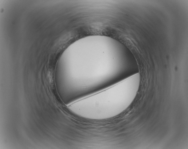 X0000067890131200604131023
