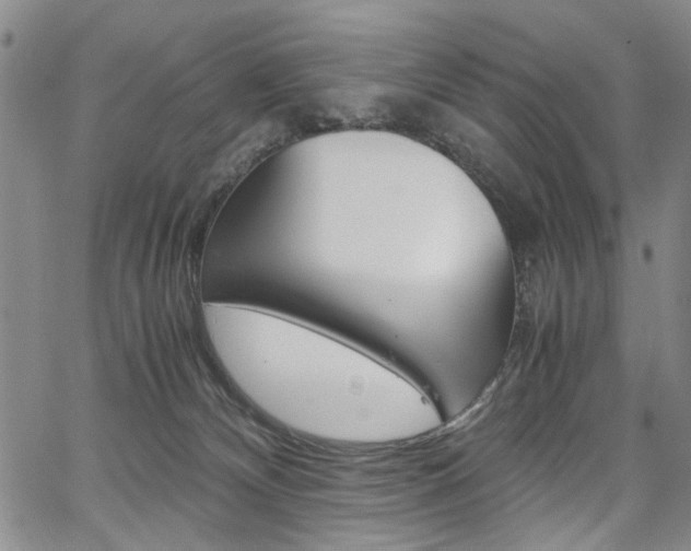 X0000067890132200604131023