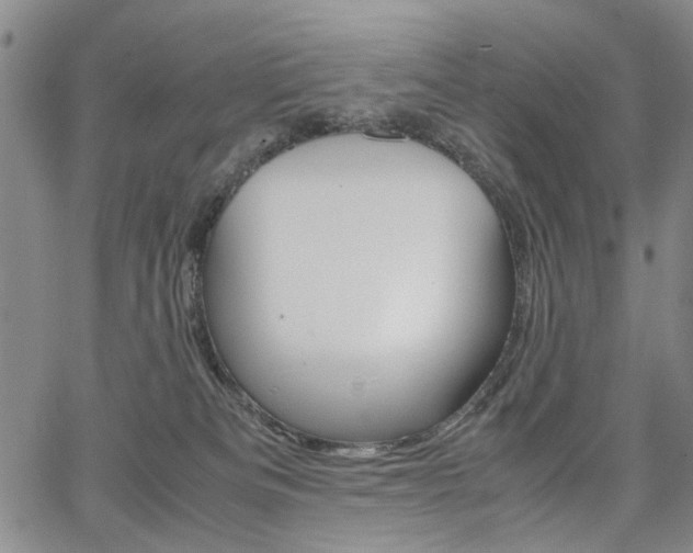 X0000067890133200604131023