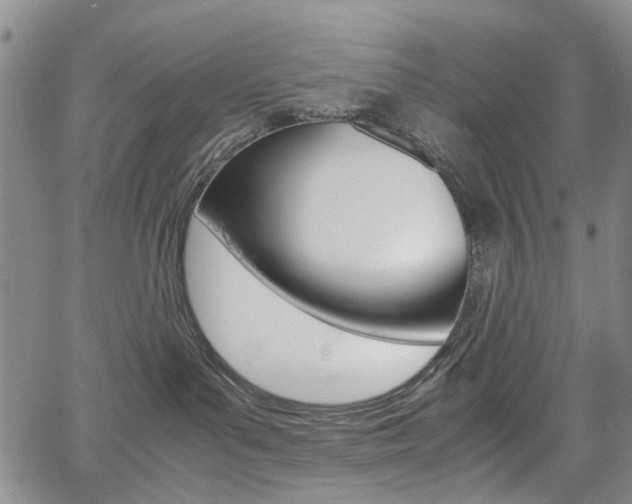 X0000067890143200604131023