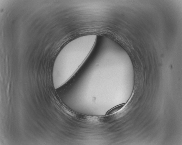 X0000067890144200604131023