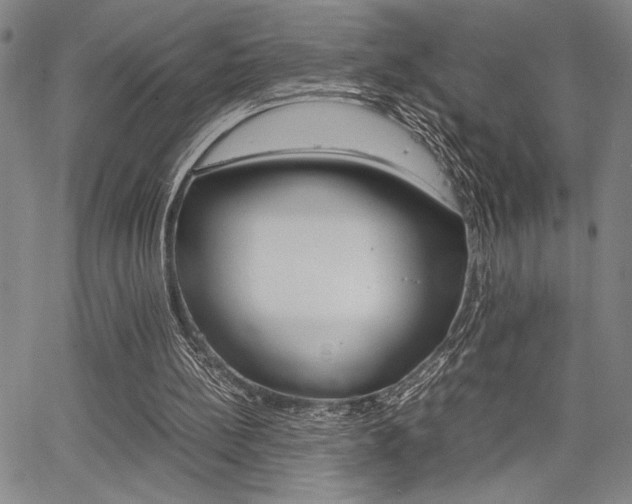 X0000067890148200604131022