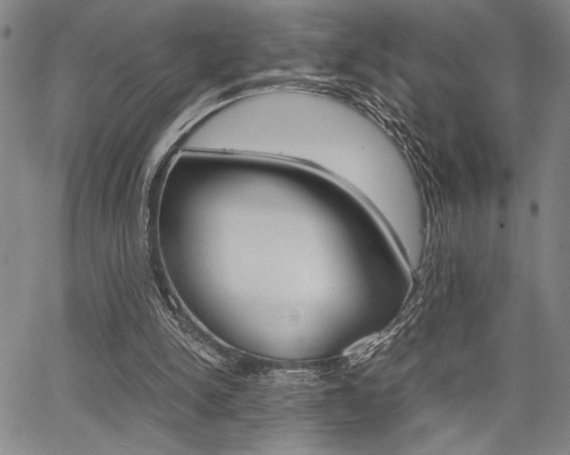 X0000067890150200604131022