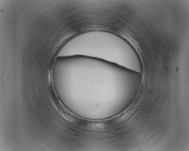 X0000067890157200604131022